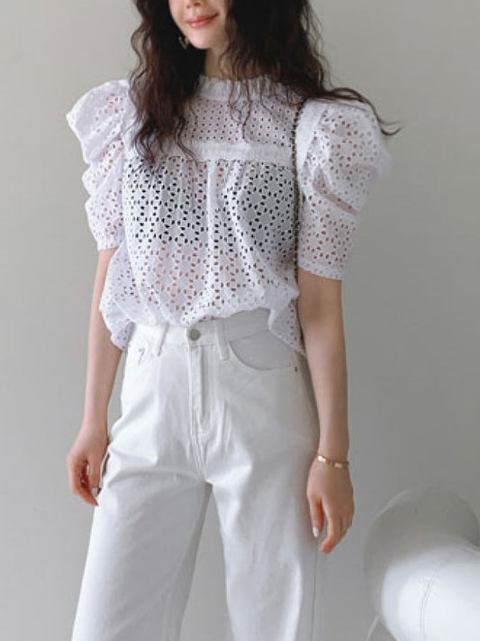 Crochet Lace Pas Sleeve Short Top X1988