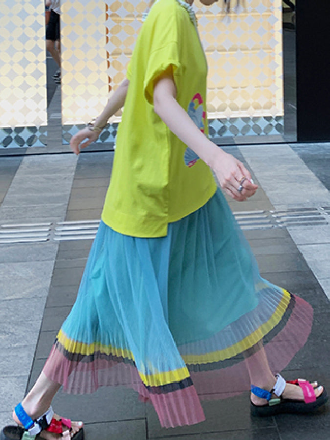 Sheer Pleated Skirt X427