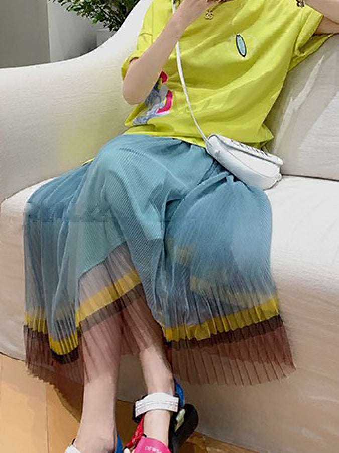 Sheer Pleated Skirt X427