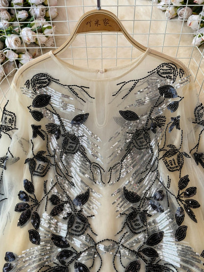 Sequin decoration see-through pullover X2769