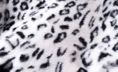 Half-High Neck Leopard Print Faux-Fur 3/4 Sleeve Pullover/Pants　X3494