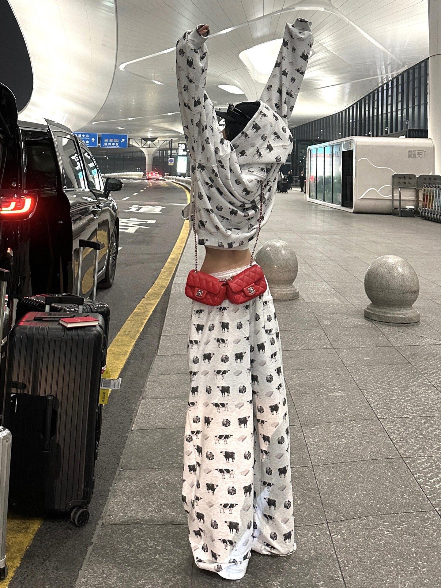 Cow Print Hoodie and Wide Leg Pants Set　X3665