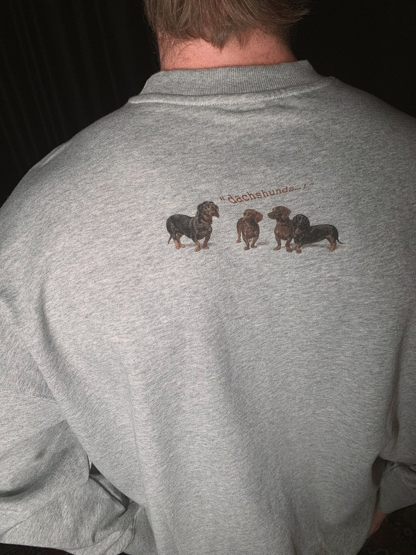 Dogs print crew neck sweatshirt X3088