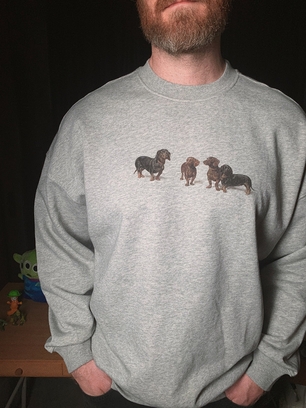 Dogs print crew neck sweatshirt X3088