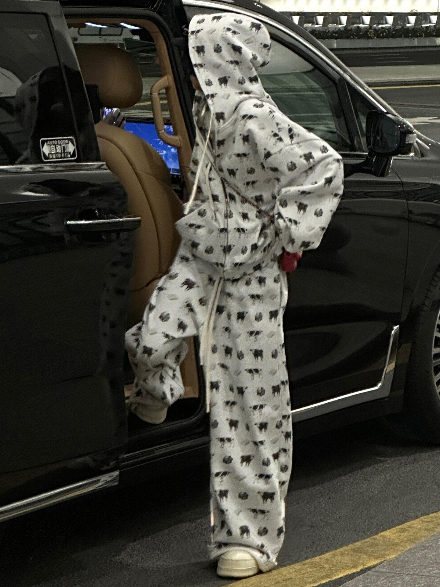 Cow Print Hoodie and Wide Leg Pants Set　X3665