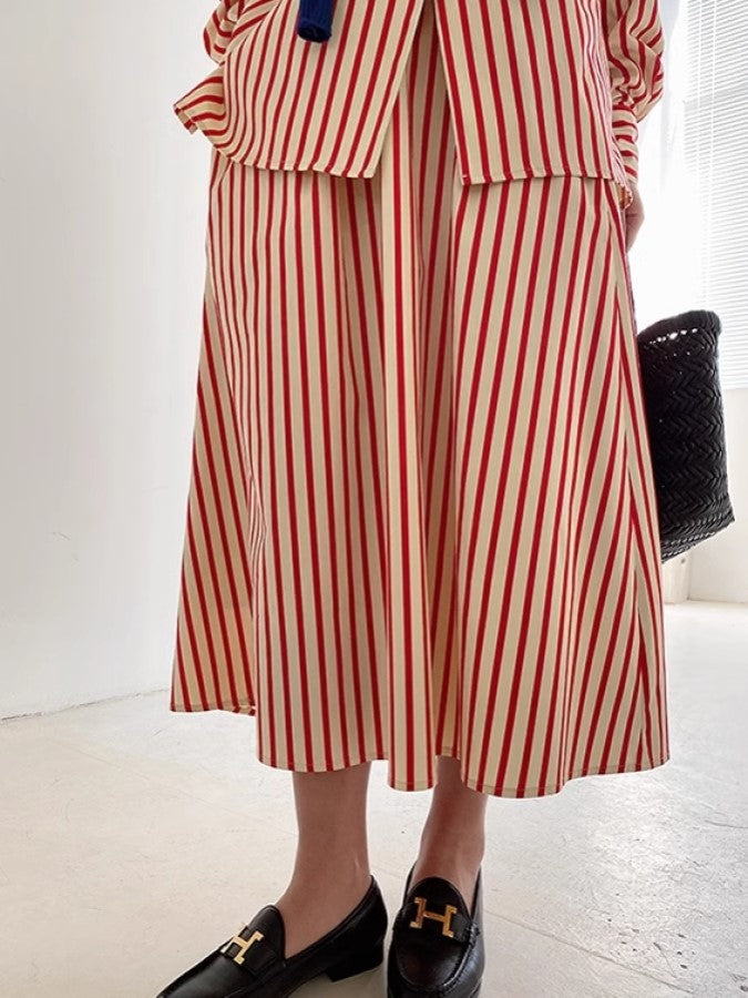 Stripe Mid-Mole A-Line Skirt X2283